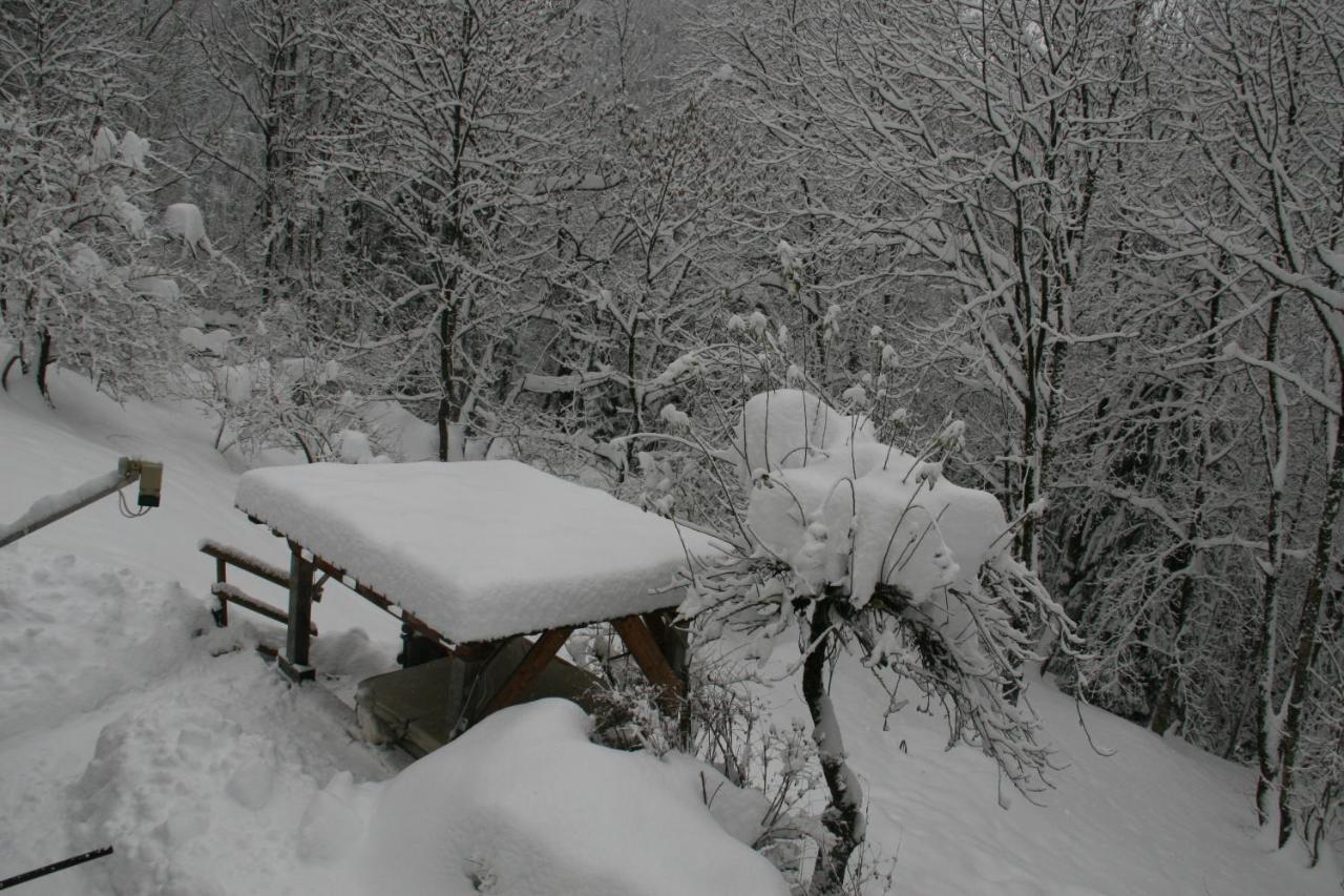 Hotel Dolomiti House Cibiana Exterior foto